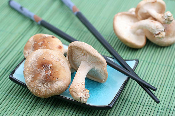 Mushroom supplements for weight loss