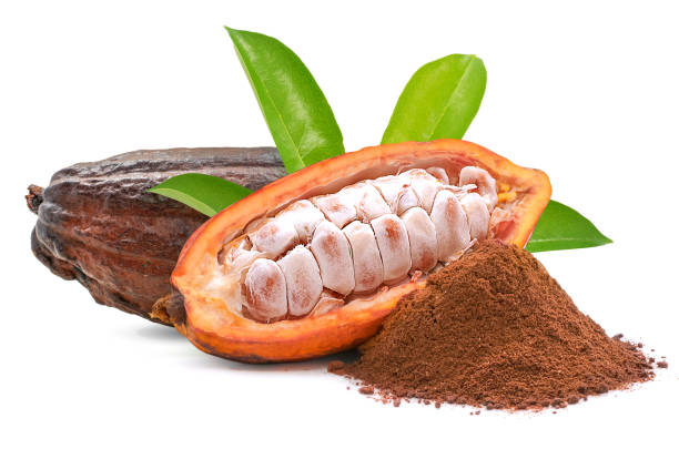 Cacao