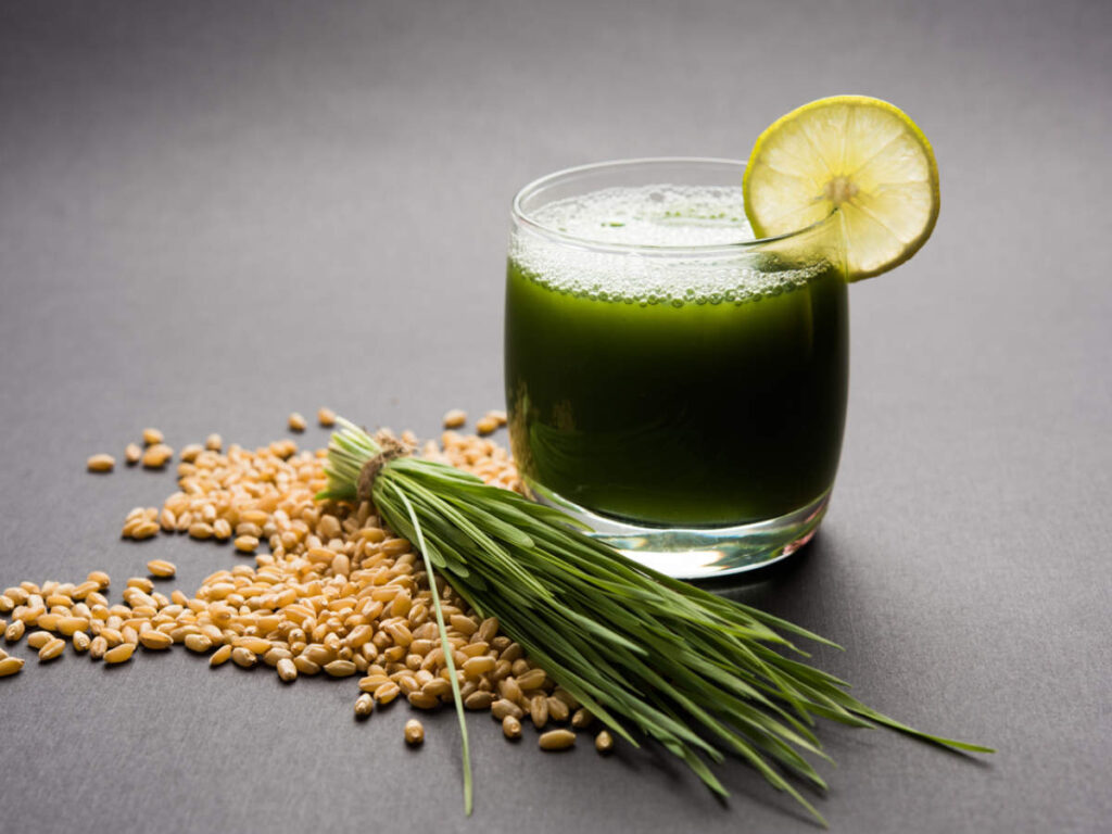 Wheatgrass