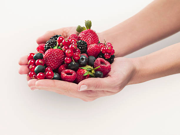 Berries as superfood for fat loss